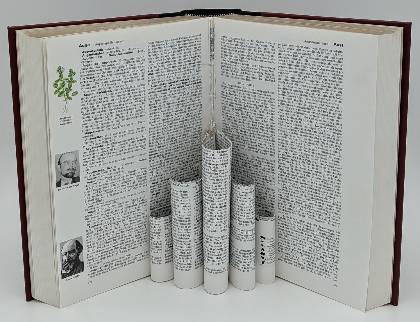 Upcycling Blumenbuch – Deko-Objekt aus altem Buch