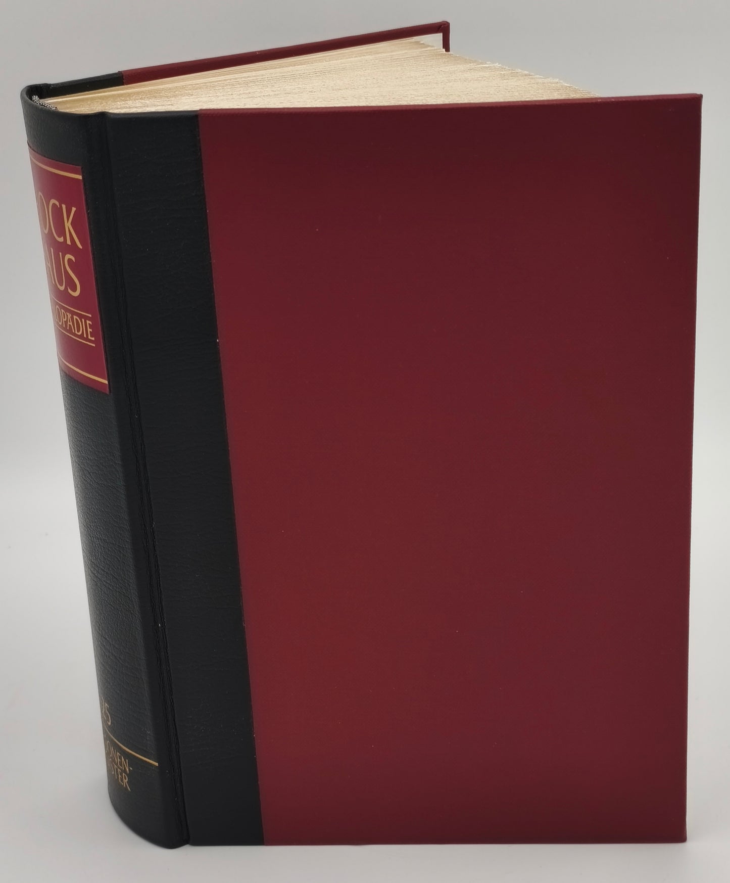 Gefaltetes Buch Weltkarte, Rückenansicht mit dunkelrotem  Einband