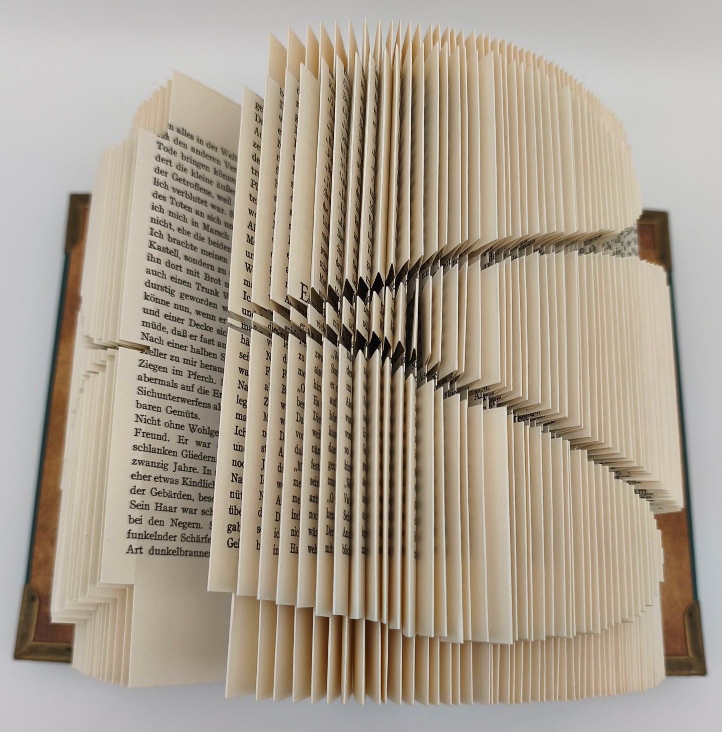 Aufgeschlagenes gefaltetes Buch mit Kleeblatt, Detailansicht der gefalteten Seiten von oben