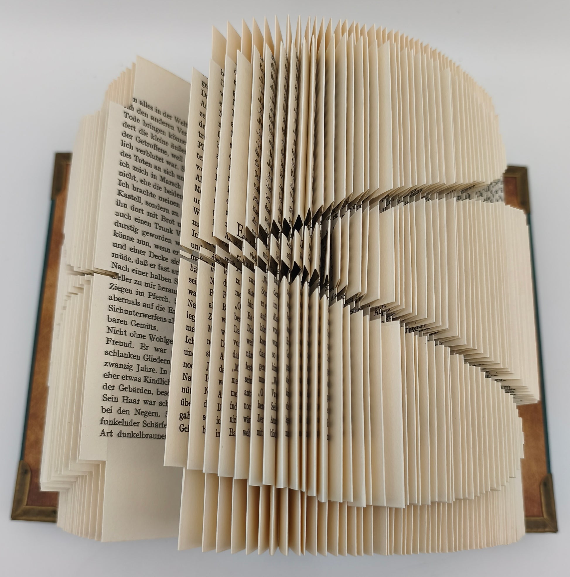 Aufgeschlagenes gefaltetes Buch mit Kleeblatt, Detailansicht der gefalteten Seiten von oben